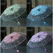 Зонтик, розовый П0026