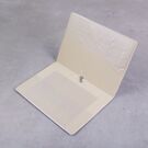 Обложка для паспорта, Вокруг света П1673