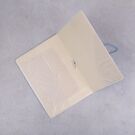 Обложка для паспорта, Вокруг света П1674