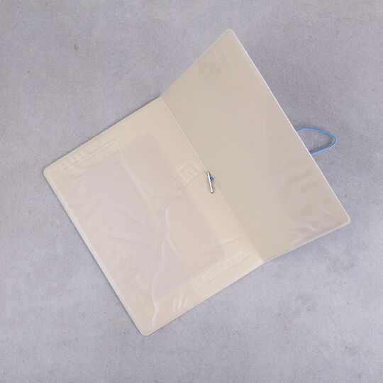 Обложка для паспорта, Вокруг света П1674