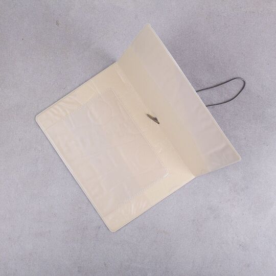 Обложка для паспорта, Вокруг света П1675