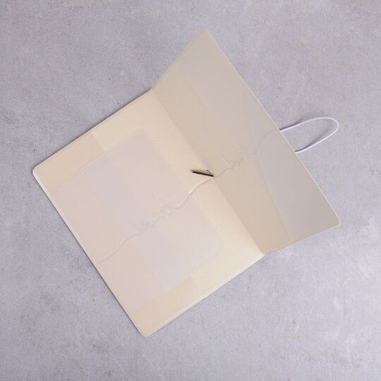 Обложка для паспорта, Вокруг света П1676