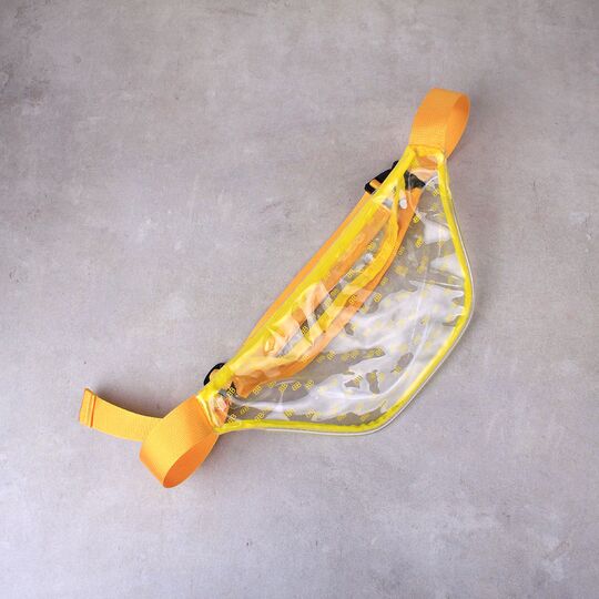 Сумка поясна жіноча прозора, П1772