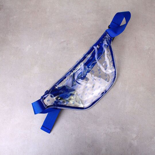 Сумка поясна жіноча прозора, П1776