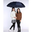 Парасолька, коричнева П0080 Парасолька, коричнева П0080