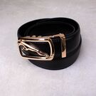 Мужской ремень DESTINY, черный П1801