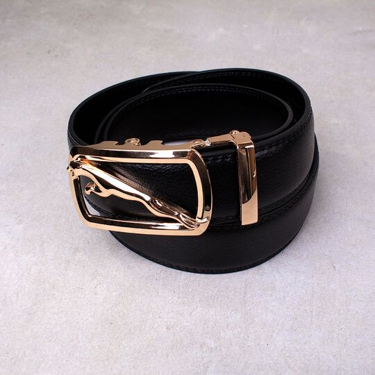 Мужской ремень DESTINY, черный П1801