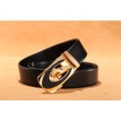 Мужской ремень DESTINY, черный П1806