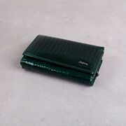 Женский кошелек HH, зеленый П2360