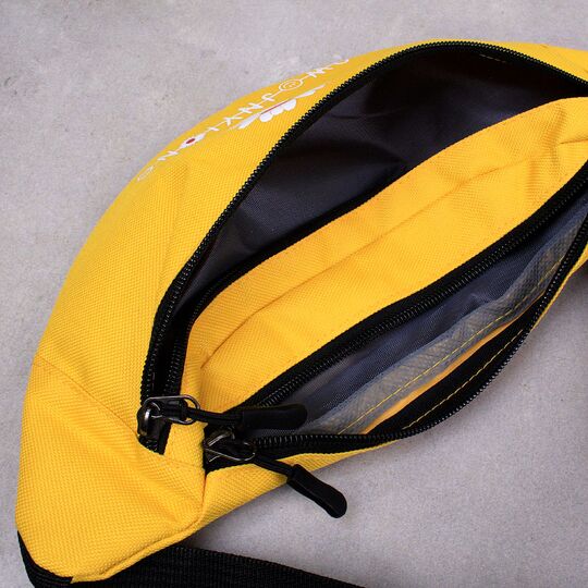 Жіноча сумка, бананка з ромашкою, П2598