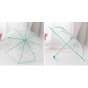 Зонтик прозрачный, зеленый П2776
