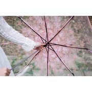 Зонтик прозрачный, розовый П2777