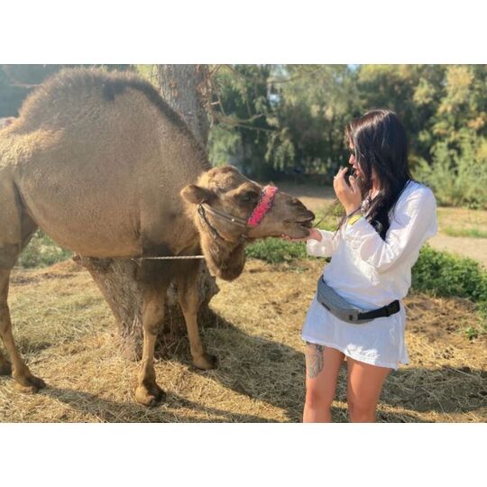 Сумка на пояс, бананка 