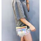 Женская сумка прозрачная П0495