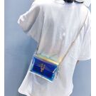 Женская сумка, прозрачная П0496