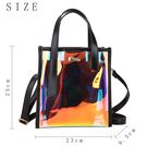 Жіноча сумка прозора П0605