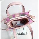 Жіноча сумка прозора П0605